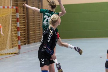 Bild 97 - Damen HSG Kremperheide/M�nsterdorf - Suchsdorfer SV : Ergebnis: 39:22